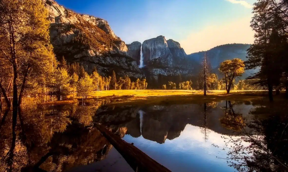 Les incontournables parcs nationaux pour une immersion dans la nature sauvage