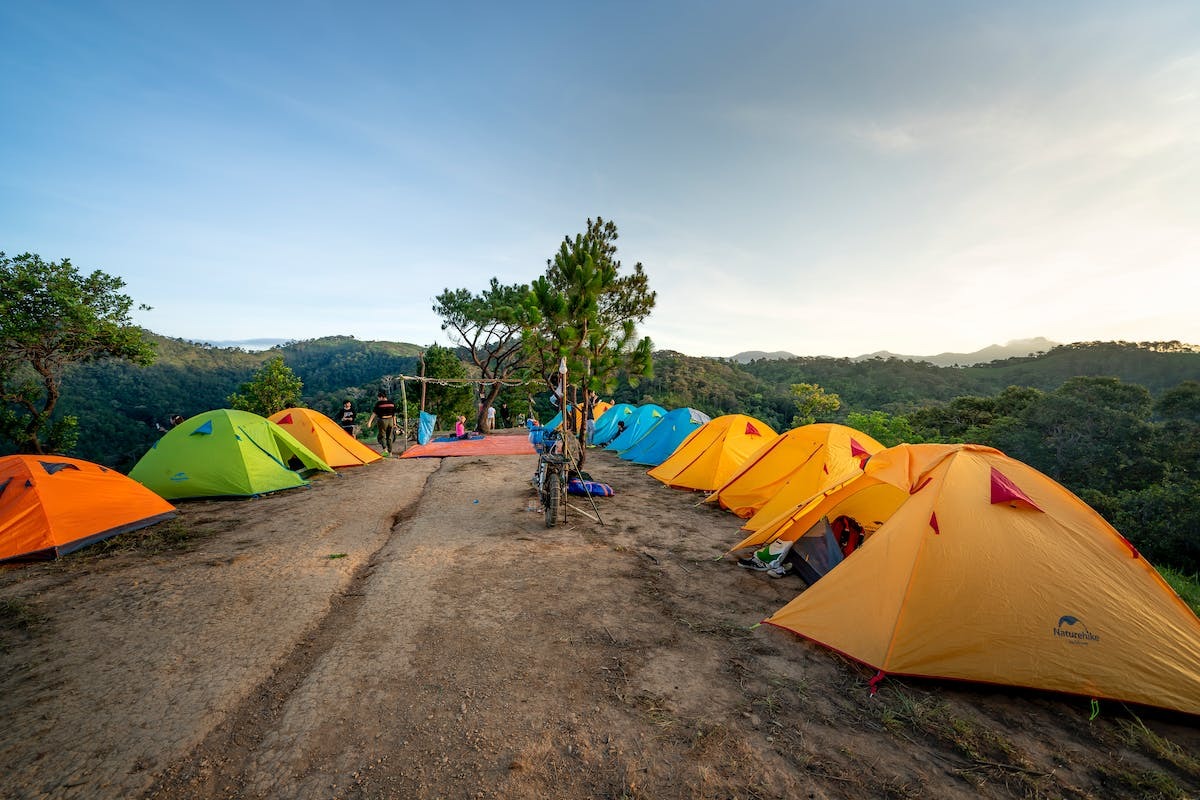camping  nature