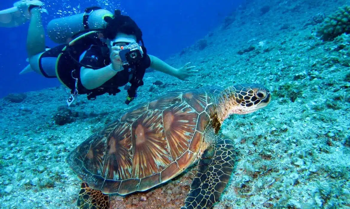 Les spots incontournables pour découvrir l’art de la plongée sous-marine