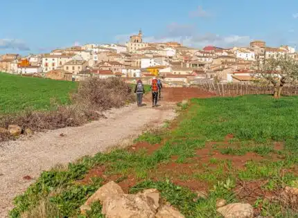 Découvrez l’expérience unique de randonner sur les chemins de Compostelle