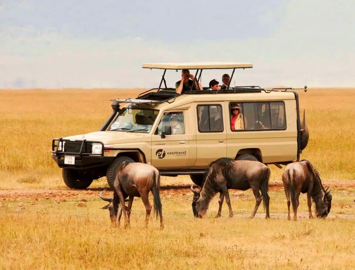 Démarches et préparatifs pour un voyage réussi en Tanzanie