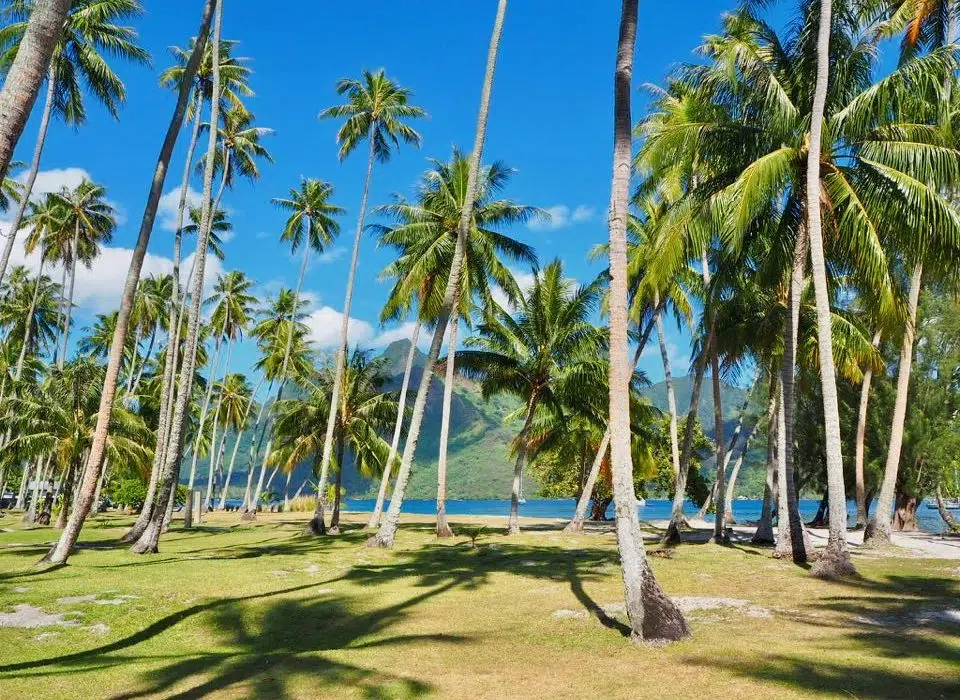 Comment visiter Moorea ?