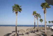 Pourquoi le castillan est la langue officielle en Espagne ?