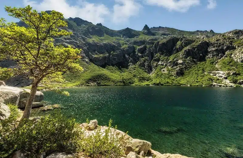 Séjour à la bergerie de Grotelle : un havre de paix en montagne