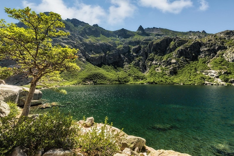 Séjour à la bergerie de Grotelle : un havre de paix en montagne