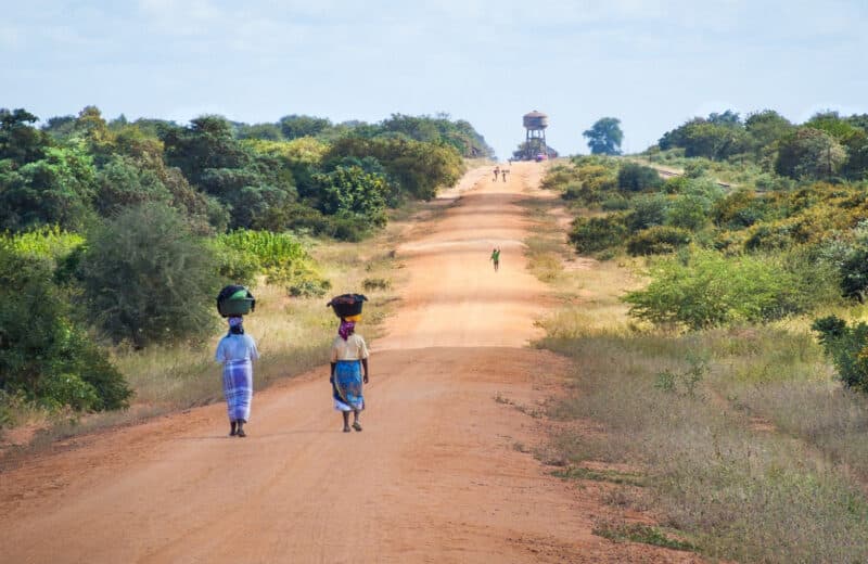 Découvrez les splendeurs du Mozambique