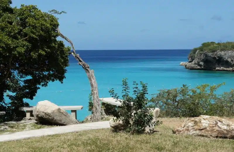 Les Antilles, un paradis sur Terre !