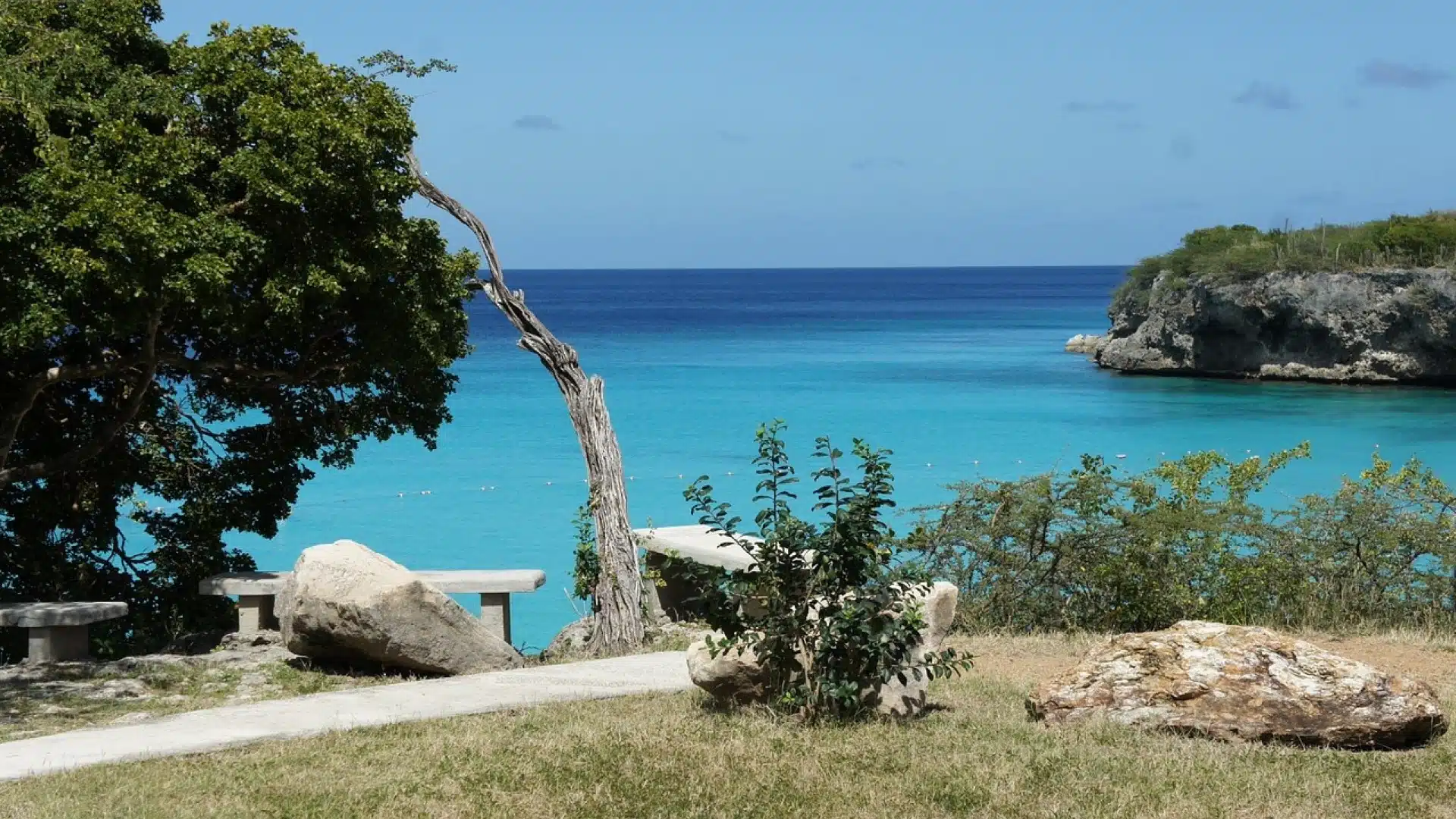 Les Antilles, un paradis sur Terre !