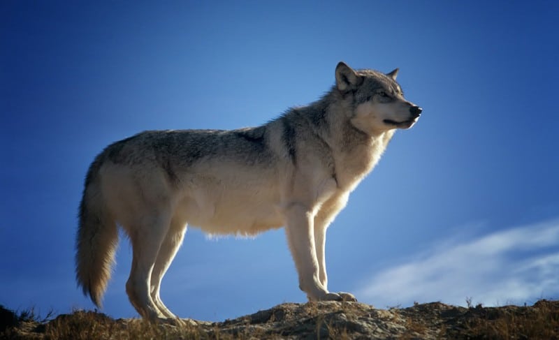 Quelles sont les contraintes de la montagne ?